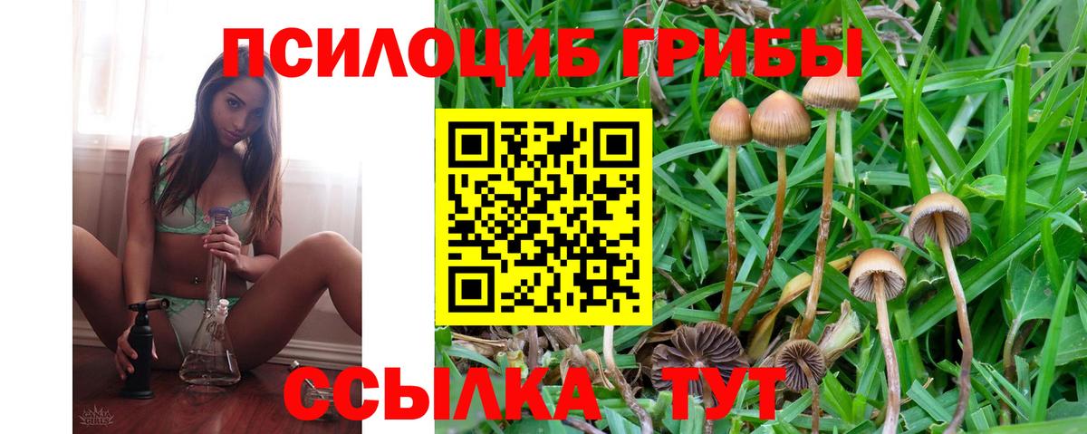 Псилоцибиновые грибы мухоморы Электрогорск