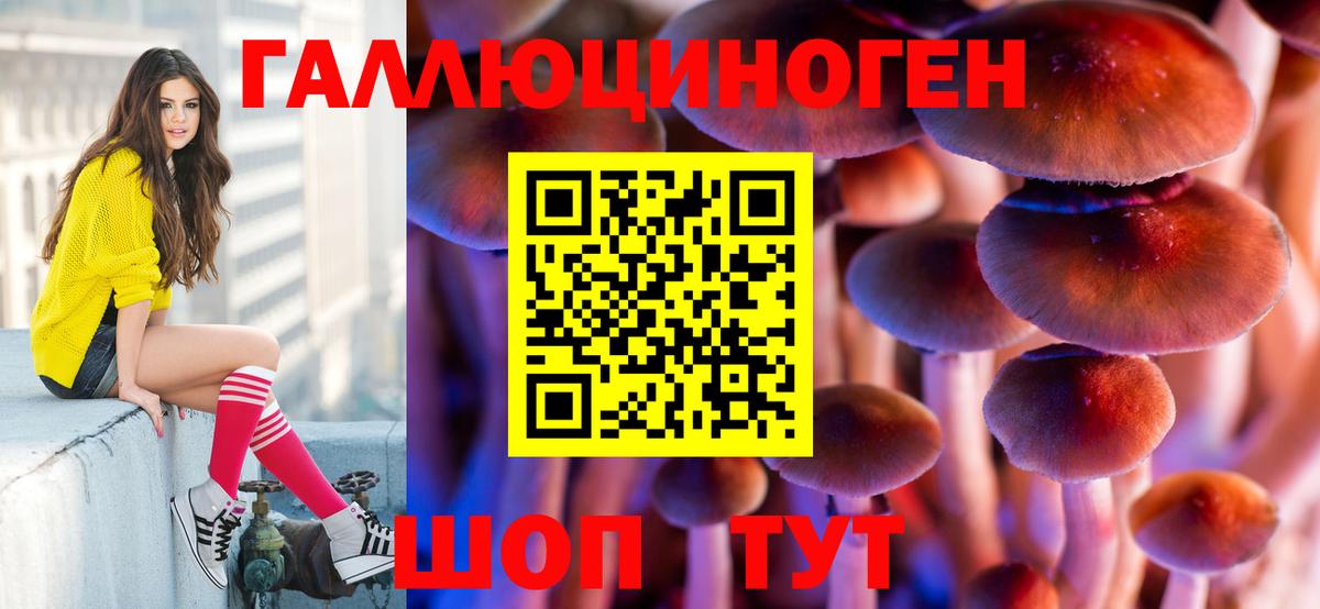 Галлюциногенные грибы GOLDEN TEACHER  Вход с VPN  Электрогорск 